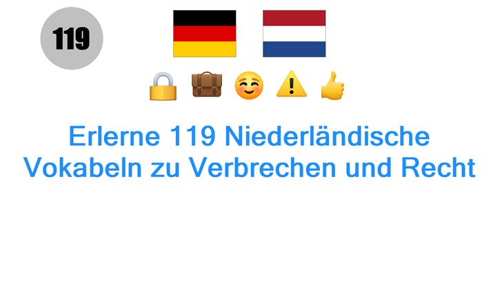 Erlerne 119 Niederländische Vokabeln zu Verbrechen und Recht